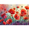 CEOVR Papavero Diamond Painting Kit Adulti,Pittura Diamante 5D Fiore,30x40 cm,DIY Diamanti Painting Kits,Diamond Painting Kit Completo Adulto,Fiore Bello Diamond Painting Art Set