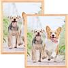 Weikani Cornice fotografica A4, 2 Pack-21x30cm OAK Cornice Plexi-Glass, Cornice certificato per montaggio a parete o display da tavolo, set di 2
