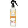 Areon Room Spray Mango 300 ml