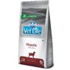 Farmina Vet Life Hepatic canine - Sacco da 12kg.