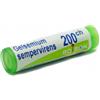 BOIRON SRL GELSEMIUM SEMP 200CH GL 1G