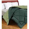 Tex family Trapunta matrimoniale CaldoSogno double-face verde 300 gr/mq - Piumone invernale caldo e morbido 250x250 cm