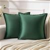 Serento Copricuscini Divano Velluto Verde Cuscini Arredo Fodere Arredamento Casa Eleganti Copricuscini Divano in Morbido Federe Moderni Decorazione per Divano Camera da Letto 2 Pezzi 50x50cm