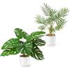 PASCH® Set di 2 Monstera artificiale e Areca Kunstpalme (35 cm) in vasi di ceramica bianca: piante artificiali come vere | Piante artificiali in vaso | Falso Pianta + Palma artificiale | Fiori
