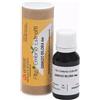 Ginkgo Fee Ginkgo Biloba 15 Ml ml Soluzione orale