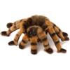 Kosen Red-Kneed Tarantola - Peluche da Collezione Giocattolo Morbido Ragno Kosen /