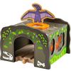 Bigjigs Rail Tunnel T-Rex