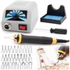 Luriseminger Macchina per Pirografia, 60W Pirografo per Legno Professionale con 30pcs Teste di Penna, Temperatura Regolabile 100-800 ℃ Pirografia Legna per Legno, Zucca, Bambù - Certificata CE