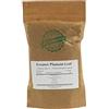 Herba Organica Piantaggine Maggiore Fogila / Plantago Major L / Greater Plantain Leaf # Herba Organica # Cinquenervia, Piantaggine Maggiore (50g)