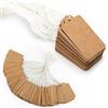 G2PLUS 500PCS Cartellino Piccolo Etichette Regalo Etichette di Abbigliamento Cartellini del Prezzo Etichette dei Prezzi Artigianali con Stringa Etichetta in Carta Kraft（2.5cm*4.5cm）