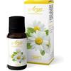 T Tex Arya Hd Olio 10 Ml Daisy