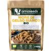 Amoseeds More di Gelso Bianco BIO 1KG | Gelsi Bianchi Essiccati, Senza zucchero aggiunto o zolfo | Gustosi, Snack sani, Gusto Mieloso | Qualità superiore
