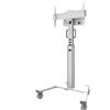 Neomounts FL50S-825WH1 supporto mobile da pavimento per schermi 37-75 - bianco