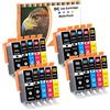 LOSMANN D&C 20x Cartucce d'inchiostro compatibili per Canon PGI-520 CLI-521 per Canon Pixma MP540 MP550 MP560 MP620 MP640 MP640R MP980 MP990 MX860 MX870 Series IP3600 Series IP4600 Series IP4600X IP4700