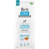 BRIT Care Dog Grain Free Junior Large Salmon 12 kg