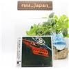 Casiopea - Casiopea (DSD Mastering) CD Direct Stream Digital Japan NUOVO