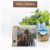 TAYLOR SWIFT Evermore con mini poster bonus track CD Giappone NUOVO