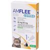 Amflee Combo 50 Mg/60 Mg Soluzione Spot-On Per Gatti E Furetti 1x0,5 ml Pipette monodose