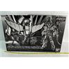 Bandai RG 1/144 RX-0 Unicorn Gundam Unit 3 Phenex Narrative Ver. Model Kit BANDAI