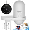 Wolmds Mangiatoia Automatica Acquario，Distributore Automatico Cibo Pesci WOLMDS con Fotocamera 2.5K e Controllo WiFi/App | Dispenser per Vacanze, Sistema di Alimentazione di Precisione Acquari