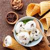 Pernigotti Maestri Gelatieri Italiani Base Vegan Pernigotti 1,35 kg - Semilavorato in polvere per preparare il gelato Vegan - Gelateria