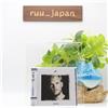 AVICII-TBC-JAPAN SOLO CD + DVD NUOVO
