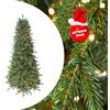 XMAS Albero di Natale Artificiale Super Realistico Avery Hill con 3000 Led, Altezza 210 cm.