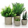 Belle Vous 4 Pezzi Piante Finte da Interno - Piante Grasse Finte, Eucalipto e Sansevieria Piccole in Plastica - Piantine Artificiali da Interno per Ufficio, Scrivania, Camera da Letto, Cucina o Casa