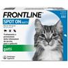 BOEHRINGER ING.ANIM.H.IT.SpA Frontline Spot On Gatti - Pipette antiparassitarie - 3 pipette da 0,5 ml