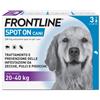 BOEHRINGER ING.ANIM.H.IT.SpA Frontline Spot On Cani da 20 a 40 kg - Pipette antiparassitarie per cani grandi Contro Pulci, Zecche E Pidocchi - 3 pipette