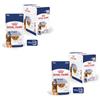 Royal Canin Maxi Ageing 8+ | Confezione Doppia | 2 x 10 x 140 g | Alimento completo per cani | Per cani grandi anziani e senior (26 a 44 kg) | A partire dai 5 anni