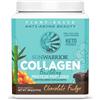 Sunwarrior Collagen building protein peptides - chocolate fudge - 500g