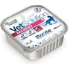 Monge Recovery 100g Vaschetta Gatti Adulti