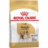 Royal Canin Breed Multipack Risparmio! 2 x Royal Canin Breed Crocchette per cane - 2 x 12 kg Beagle Adult
