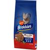 Affinity Brekkies Brekkies Manzo Crocchette per gatto - Set %: 2 x 15 kg