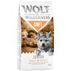 Wolf of Wilderness Multipack risparmio! 2 x 12 kg Wolf of Wilderness Adult Soft Crocchette semi-umide per cani - Junior Wide Acres - Pollo