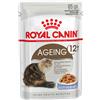 Royal Canin Ageing +12 umido in Gelatina per gatti - 12 x 85 g