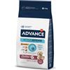 Affinity Advance Multipack Risparmio! 2 x Advance Crocchette per cani - Maxi Senior (2 x 12 kg)