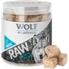 Wolf of Wilderness Snack Premium liofilizzati Wolf of Wilderness - RAW - Filetto di salmone (70 g)
