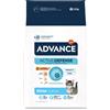 Affinity Advance Advance Kitten Pollo Crocchette per gatto - 10 kg