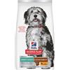 Hill's Science Plan Perfect Weight & Active Mobility Adult 1+ Medium Pollo - 12 kg