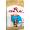 Royal Canin Breed Royal Canin Cocker Puppy Crocchette per cane - 3 kg