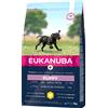 Eukanuba Puppy Large Breed Pollo - Set %: 2 x 3 kg