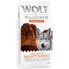 Wolf of Wilderness Multipack risparmio! 2 x 12 kg Wolf of Wilderness Explore Crocchette per cani - Explore The Mighty Summit - Performance