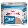 Royal Canin Size Royal Canin Starter Mousse Mother & Babydog - Set %: 48 x 195 g