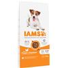IAMS Advanced Nutrition Adult Small & Medium Pollo Crocchette per cane - 12 kg