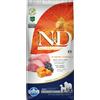 N&D Pumpkin Farmina N&D Grain Free Pumpkin Adult Medium/Maxi Agnello, Zucca e Mirtillo Set % 2 x 12 kg