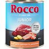 Rocco Junior 6 x 800 g Umido cane - Manzo con Salmone & Patate - NUOVO!