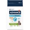 Affinity Advance Advance Sterilized Junior con Pollo Crocchette per gatto - 1,5 kg