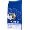IAMS 2 x 10 / 15 kg Crocchette per gatto - Pro Active Health Adult Multi-Cat Household (2 x 15 kg)